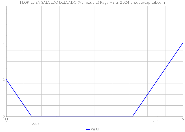 FLOR ELISA SALCEDO DELGADO (Venezuela) Page visits 2024 