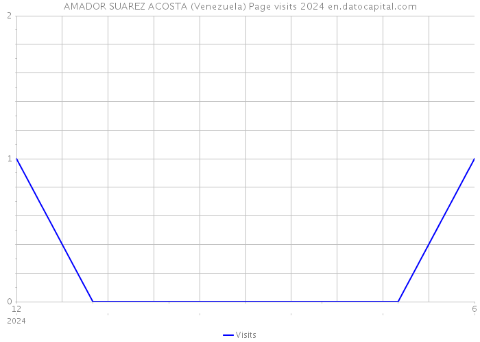 AMADOR SUAREZ ACOSTA (Venezuela) Page visits 2024 