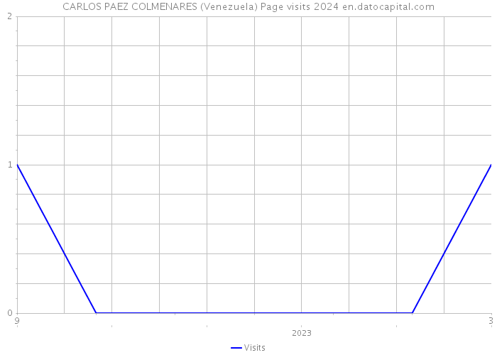 CARLOS PAEZ COLMENARES (Venezuela) Page visits 2024 