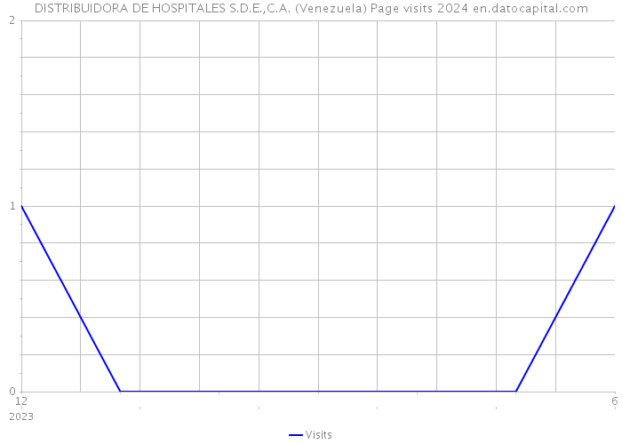 DISTRIBUIDORA DE HOSPITALES S.D.E.,C.A. (Venezuela) Page visits 2024 