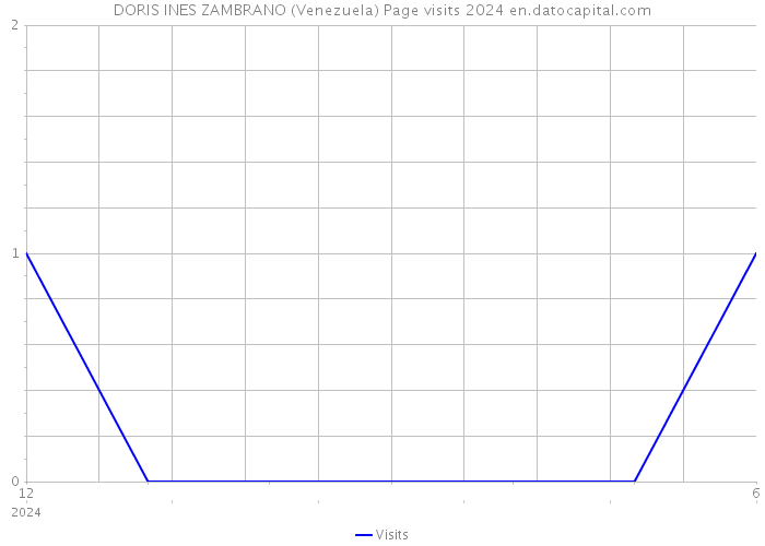 DORIS INES ZAMBRANO (Venezuela) Page visits 2024 