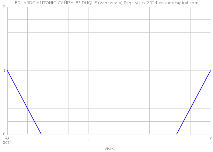 EDUARDO ANTONIO CAÑIZALEZ DUQUE (Venezuela) Page visits 2024 