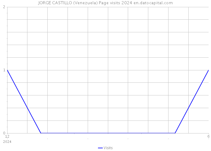 JORGE CASTILLO (Venezuela) Page visits 2024 