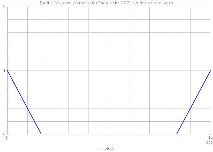 Radica Vukovic (Venezuela) Page visits 2024 