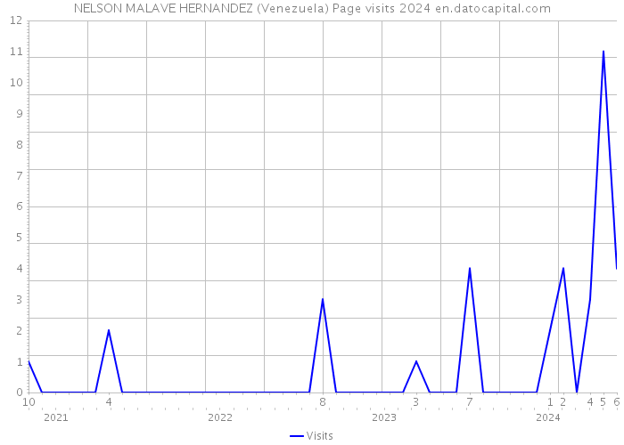NELSON MALAVE HERNANDEZ (Venezuela) Page visits 2024 