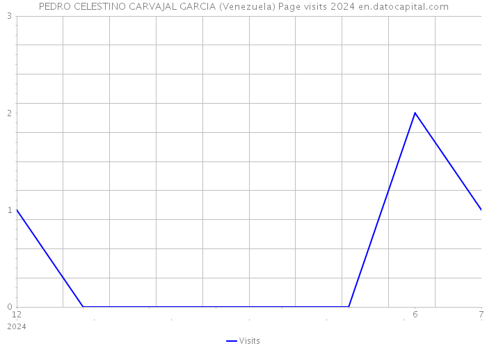 PEDRO CELESTINO CARVAJAL GARCIA (Venezuela) Page visits 2024 