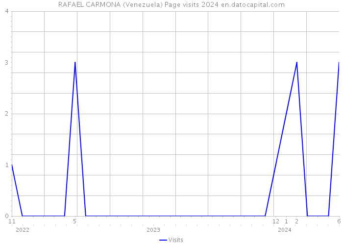 RAFAEL CARMONA (Venezuela) Page visits 2024 
