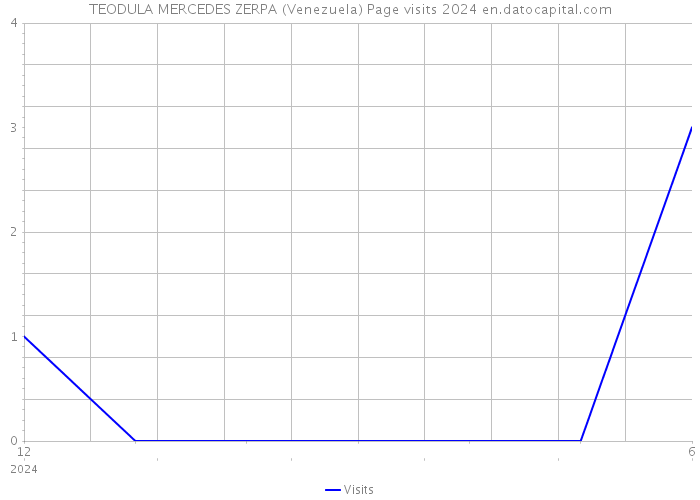 TEODULA MERCEDES ZERPA (Venezuela) Page visits 2024 