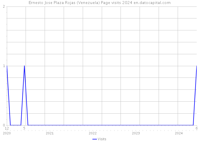 Ernesto Jose Plaza Rojas (Venezuela) Page visits 2024 