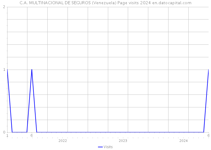 C.A. MULTINACIONAL DE SEGUROS (Venezuela) Page visits 2024 