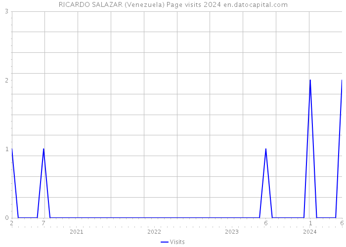 RICARDO SALAZAR (Venezuela) Page visits 2024 