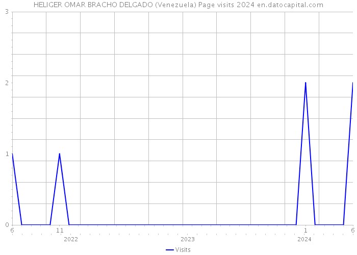 HELIGER OMAR BRACHO DELGADO (Venezuela) Page visits 2024 