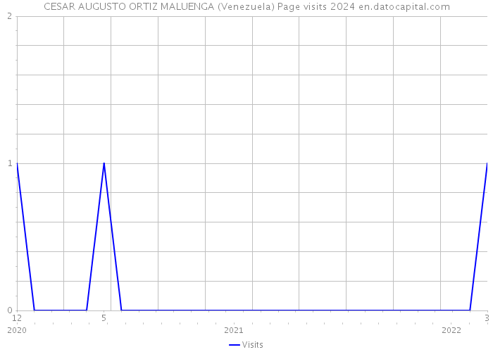 CESAR AUGUSTO ORTIZ MALUENGA (Venezuela) Page visits 2024 