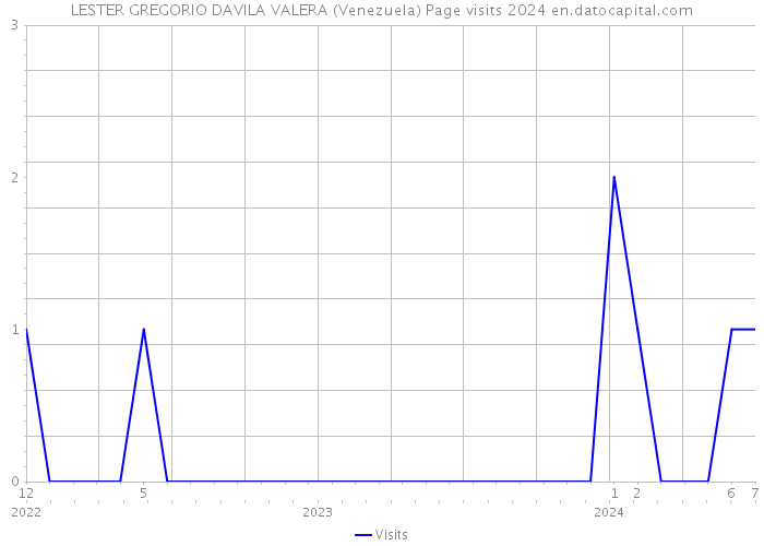 LESTER GREGORIO DAVILA VALERA (Venezuela) Page visits 2024 