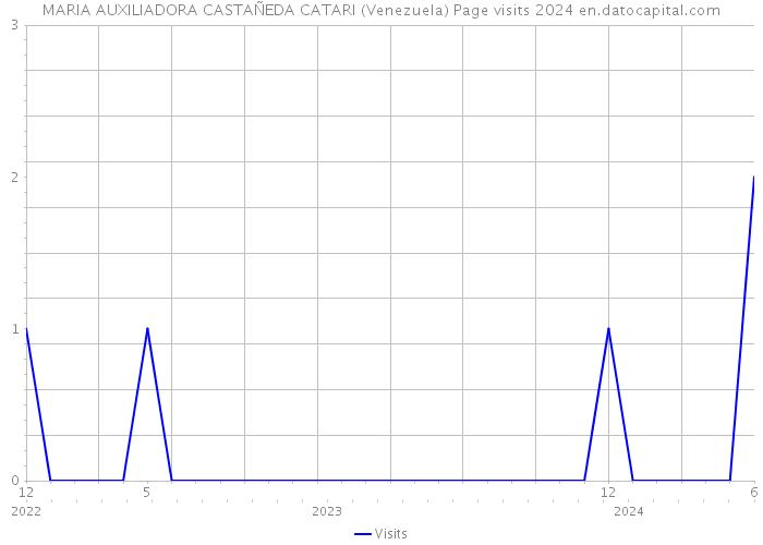 MARIA AUXILIADORA CASTAÑEDA CATARI (Venezuela) Page visits 2024 