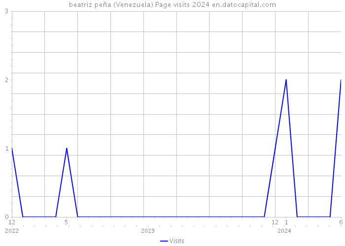 beatriz peña (Venezuela) Page visits 2024 