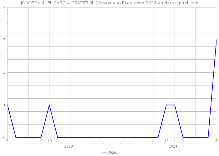 JORGE SAMUEL GARCIA GRATEROL (Venezuela) Page visits 2024 