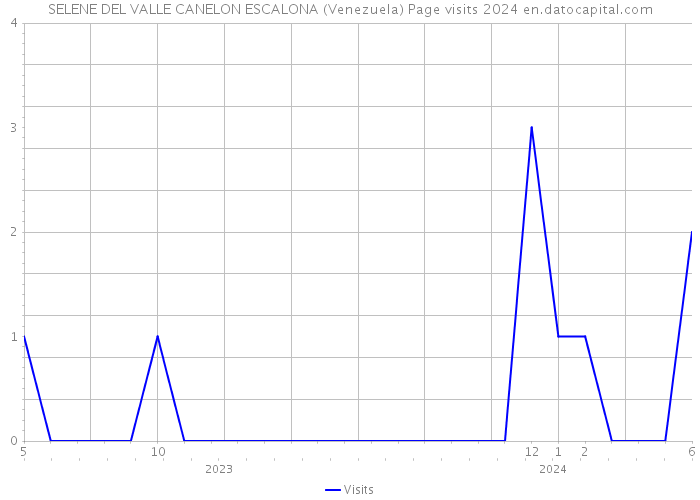 SELENE DEL VALLE CANELON ESCALONA (Venezuela) Page visits 2024 