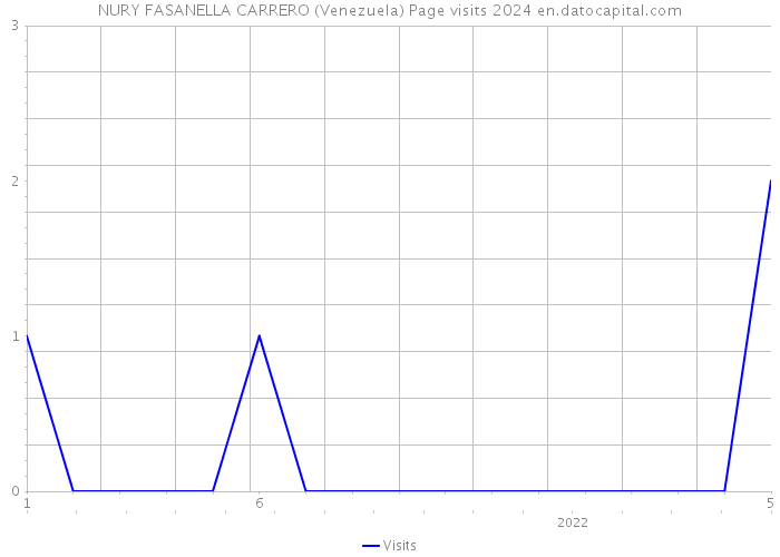 NURY FASANELLA CARRERO (Venezuela) Page visits 2024 