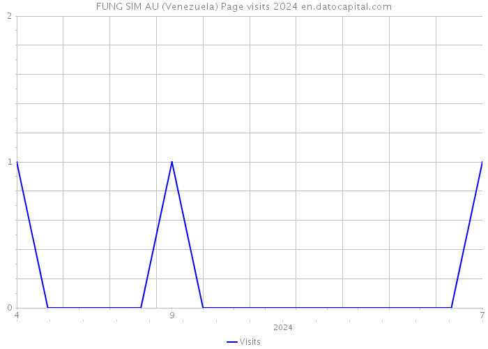 FUNG SIM AU (Venezuela) Page visits 2024 