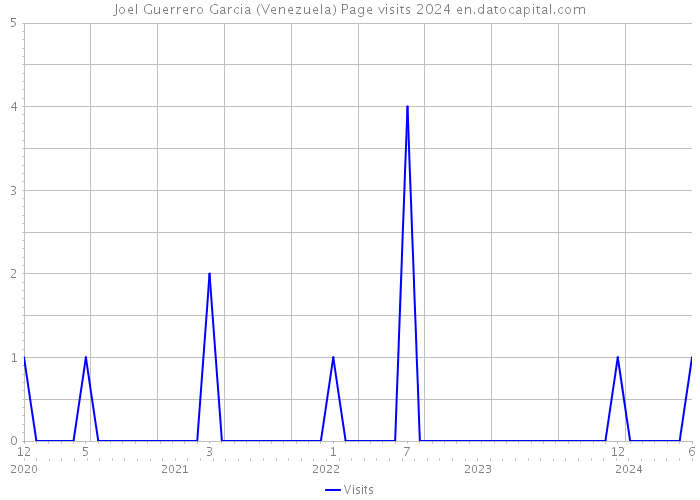 Joel Guerrero Garcia (Venezuela) Page visits 2024 