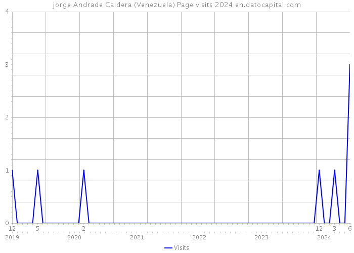 jorge Andrade Caldera (Venezuela) Page visits 2024 