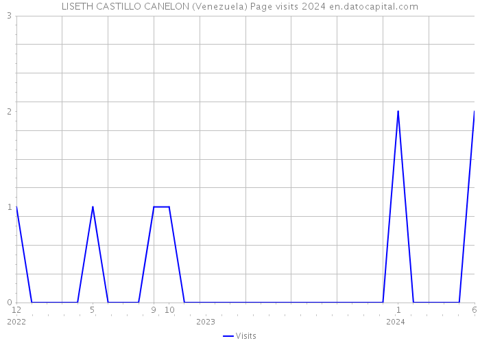LISETH CASTILLO CANELON (Venezuela) Page visits 2024 