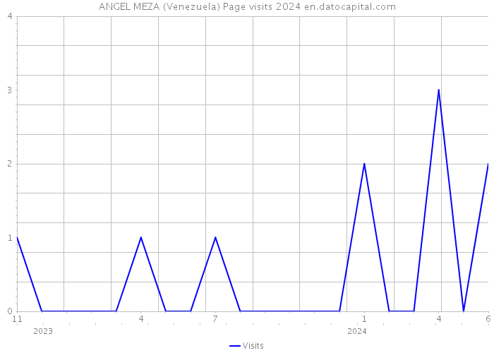 ANGEL MEZA (Venezuela) Page visits 2024 