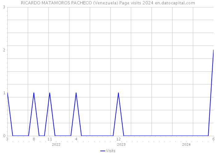 RICARDO MATAMOROS PACHECO (Venezuela) Page visits 2024 