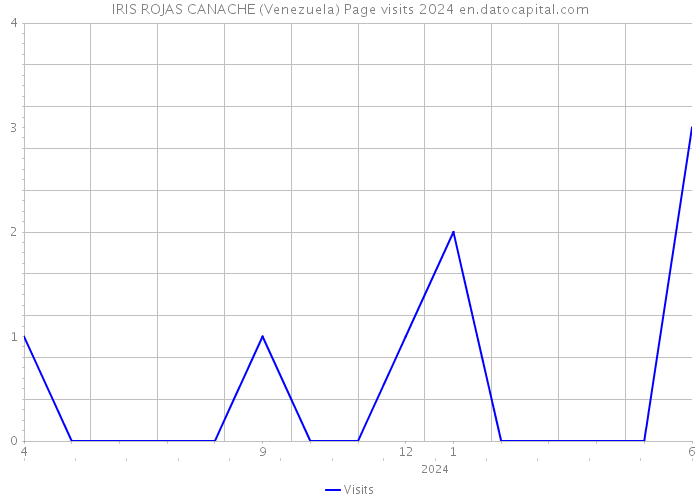 IRIS ROJAS CANACHE (Venezuela) Page visits 2024 