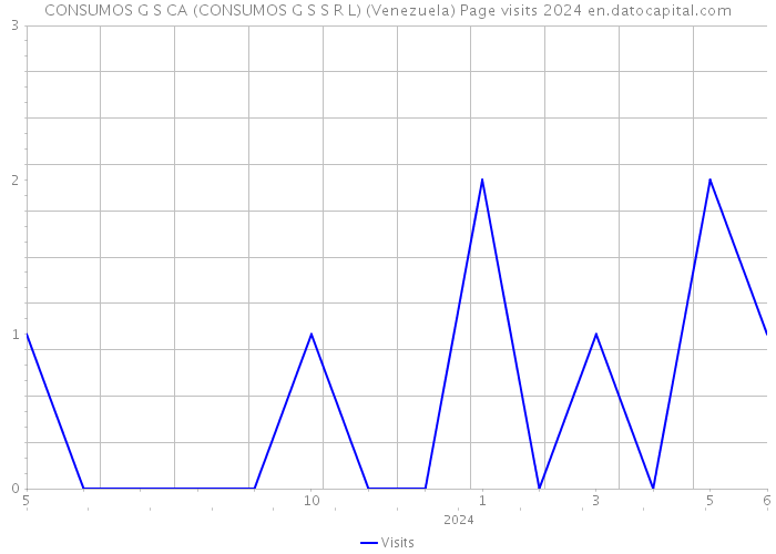 CONSUMOS G S CA (CONSUMOS G S S R L) (Venezuela) Page visits 2024 