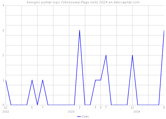 benigno pumar lopo (Venezuela) Page visits 2024 