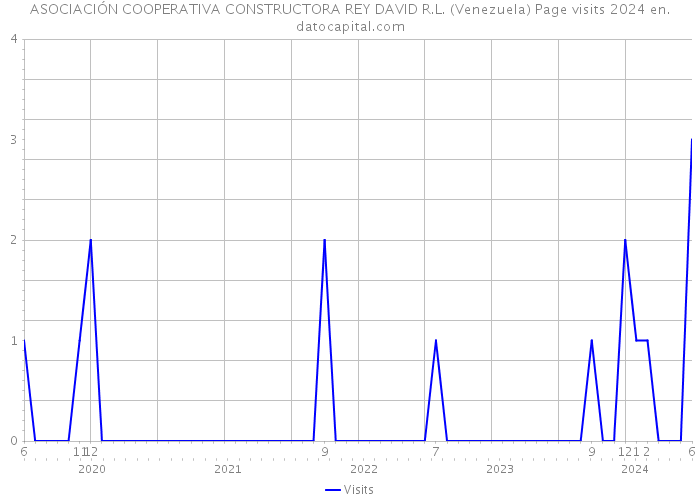 ASOCIACIÓN COOPERATIVA CONSTRUCTORA REY DAVID R.L. (Venezuela) Page visits 2024 