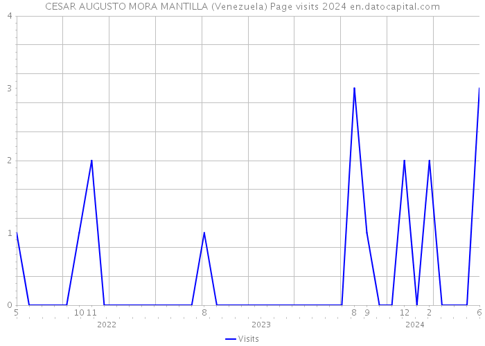 CESAR AUGUSTO MORA MANTILLA (Venezuela) Page visits 2024 