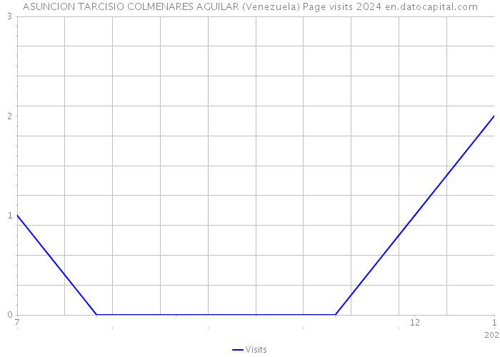ASUNCION TARCISIO COLMENARES AGUILAR (Venezuela) Page visits 2024 