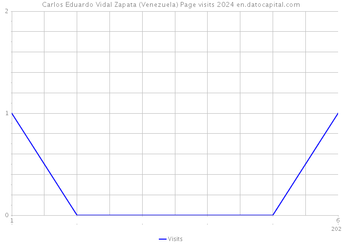 Carlos Eduardo Vidal Zapata (Venezuela) Page visits 2024 