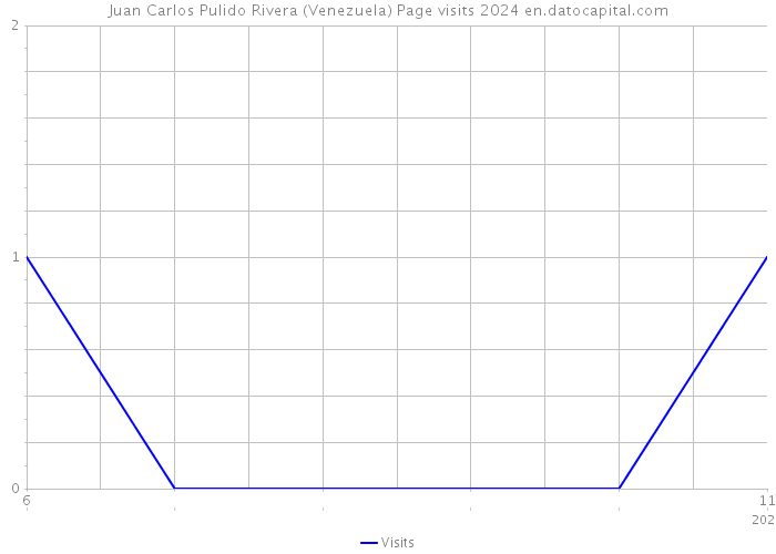 Juan Carlos Pulido Rivera (Venezuela) Page visits 2024 