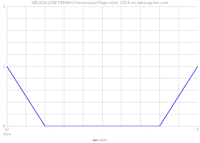 NELSON JOSE FERMIN (Venezuela) Page visits 2024 