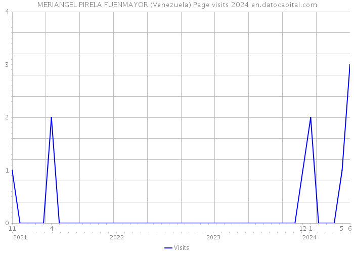 MERIANGEL PIRELA FUENMAYOR (Venezuela) Page visits 2024 