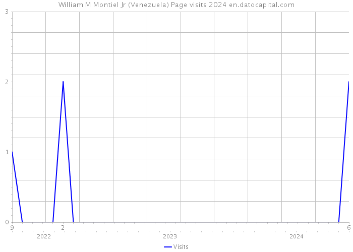 William M Montiel Jr (Venezuela) Page visits 2024 