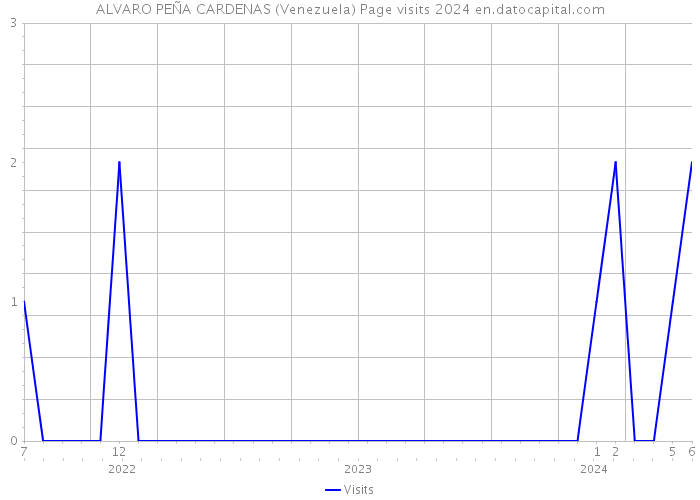 ALVARO PEÑA CARDENAS (Venezuela) Page visits 2024 
