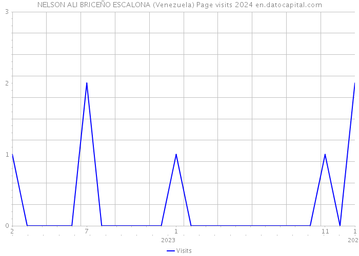 NELSON ALI BRICEÑO ESCALONA (Venezuela) Page visits 2024 