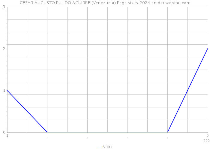CESAR AUGUSTO PULIDO AGUIRRE (Venezuela) Page visits 2024 
