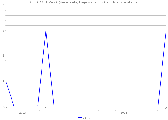 CESAR GUEVARA (Venezuela) Page visits 2024 