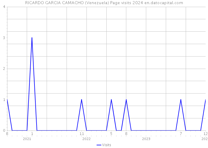 RICARDO GARCIA CAMACHO (Venezuela) Page visits 2024 