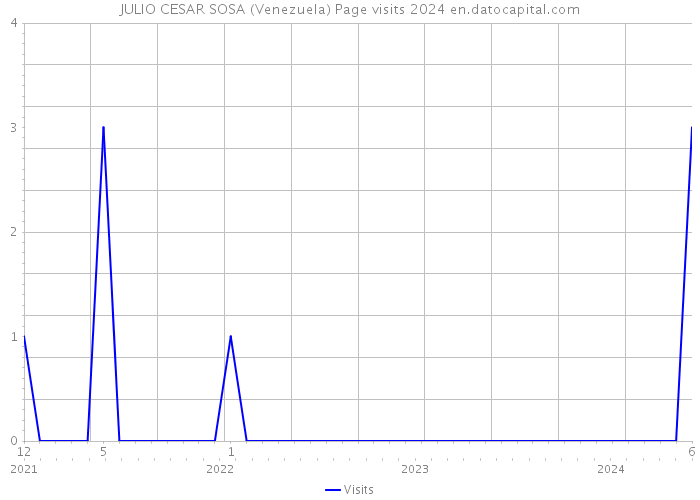 JULIO CESAR SOSA (Venezuela) Page visits 2024 