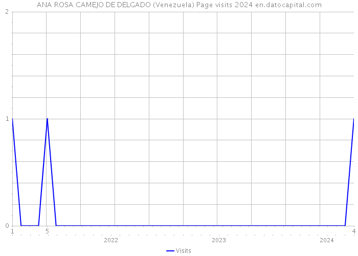 ANA ROSA CAMEJO DE DELGADO (Venezuela) Page visits 2024 