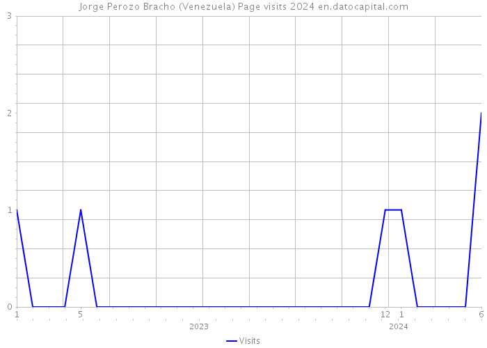Jorge Perozo Bracho (Venezuela) Page visits 2024 
