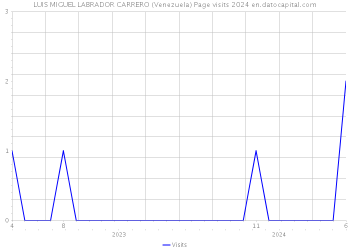 LUIS MIGUEL LABRADOR CARRERO (Venezuela) Page visits 2024 