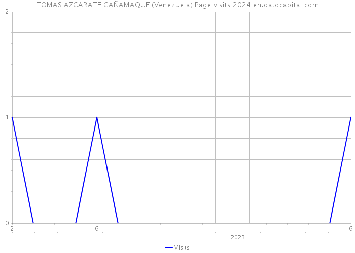 TOMAS AZCARATE CAÑAMAQUE (Venezuela) Page visits 2024 